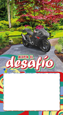 Almanaque Variedades Papel 1/6